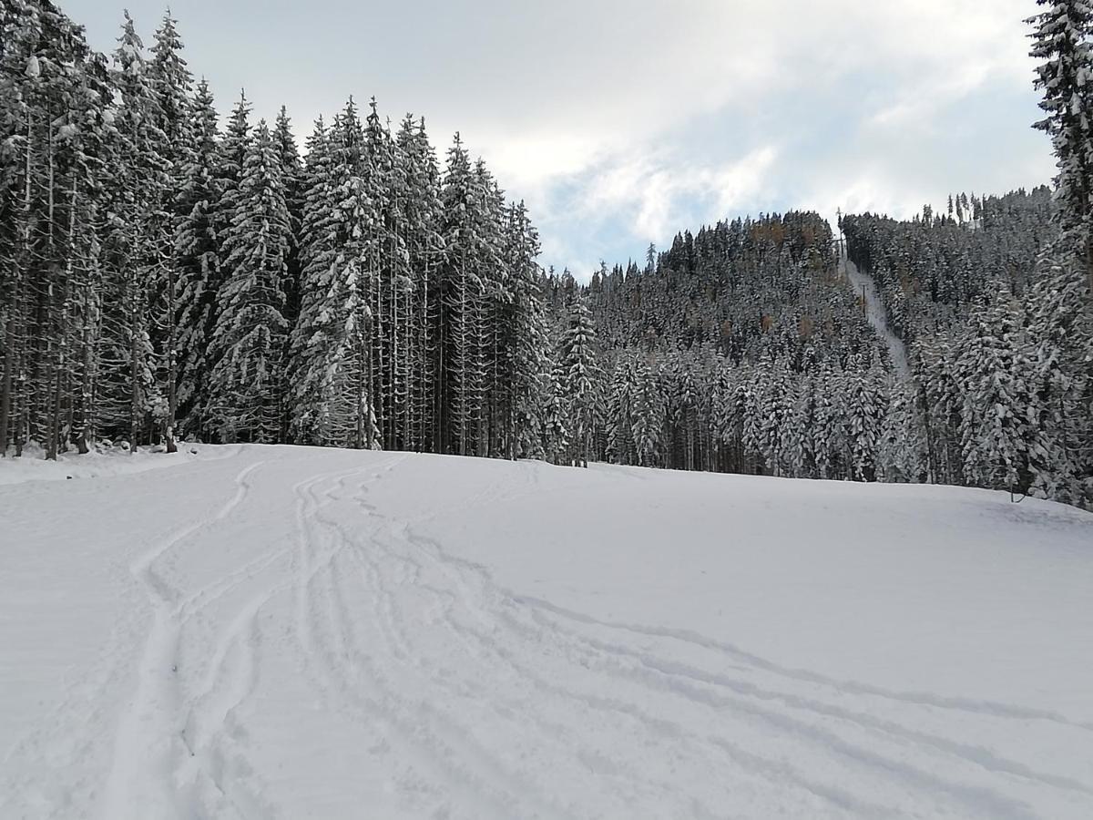 Ferienwohnung Mit Blick Auf Die Buchensteinwand Hochfilzen Buitenkant foto